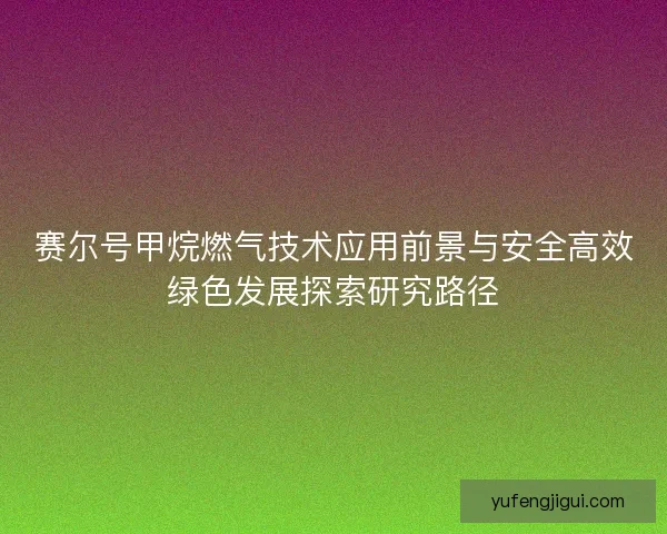 赛尔号甲烷燃气技术应用前景与安全高效绿色发展探索研究路径 赛尔号甲烷燃气技术应用前景与安全高效绿色发展探索研究路径