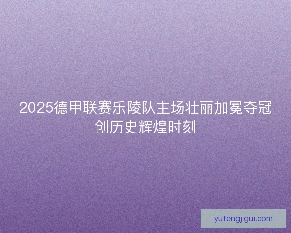 2025德甲联赛乐陵队主场壮丽加冕夺冠创历史辉煌时刻 2025德甲联赛乐陵队主场壮丽加冕夺冠创历史辉煌时刻