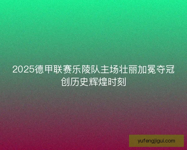 2025德甲联赛乐陵队主场壮丽加冕夺冠创历史辉煌时刻