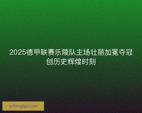2025德甲联赛乐陵队主场壮丽加冕夺冠创历史辉煌时刻